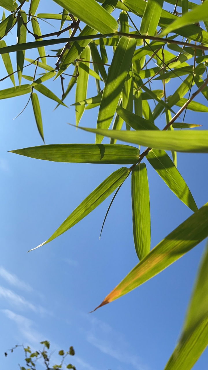 ?氊浺?餃俉??喆桠墲0?/O钧狩鷺