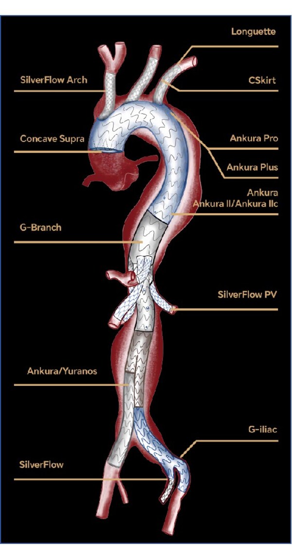 脉?,kq?的简单介绍-开云app